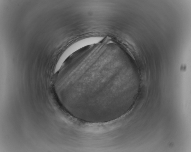 X0000091290029200709071041