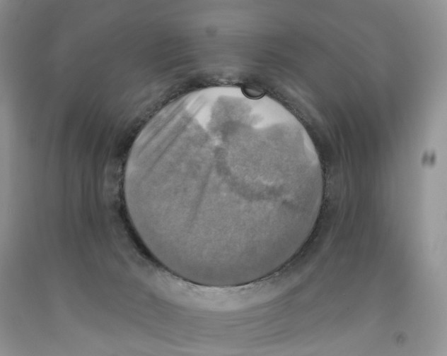 X0000091290030200709071041