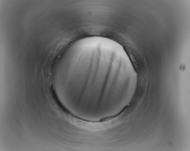 X0000091290031200709071041