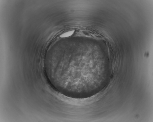 X0000091290035200709071041