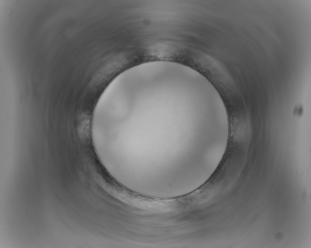 X0000091290036200709071041