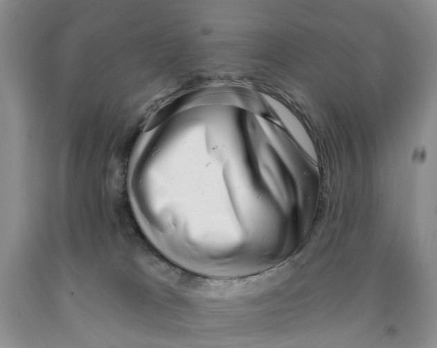 X0000091290037200709071041