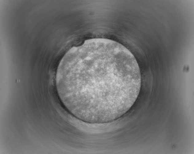 X0000091290038200709071041