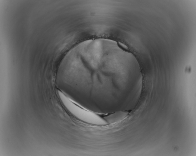 X0000091290039200709071041