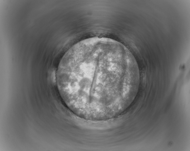 X0000091290042200709071041