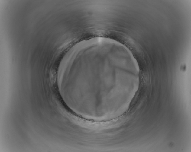 X0000091290043200709071041