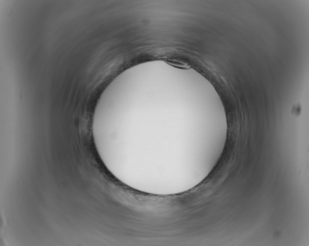 X0000091290044200709071041