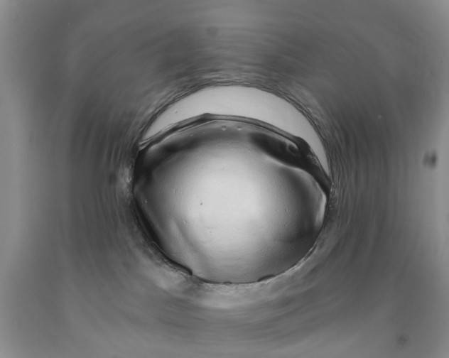 X0000091290045200709071041