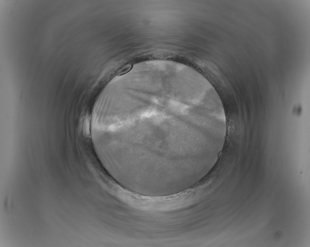 X0000091290046200709071041