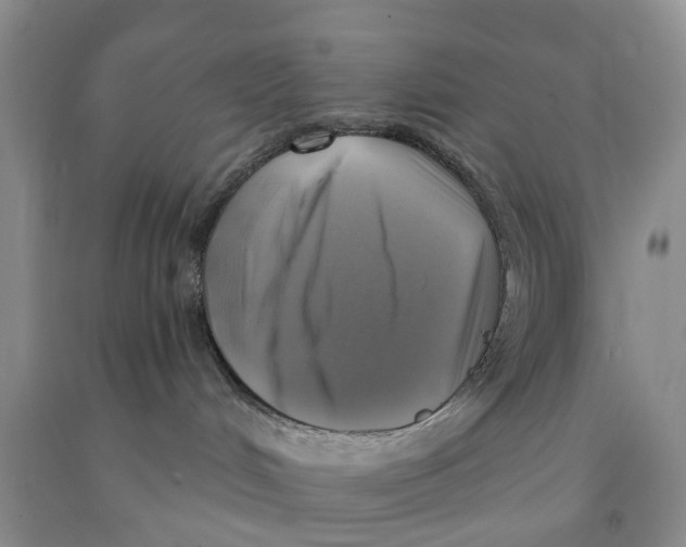 X0000091290048200709071041