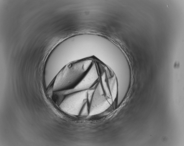 X0000091290049200709071040