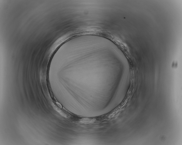 X0000091290051200709071040