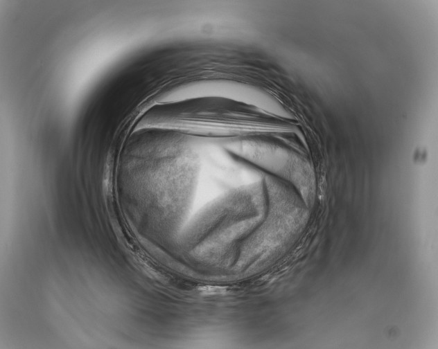 X0000091290052200709071040