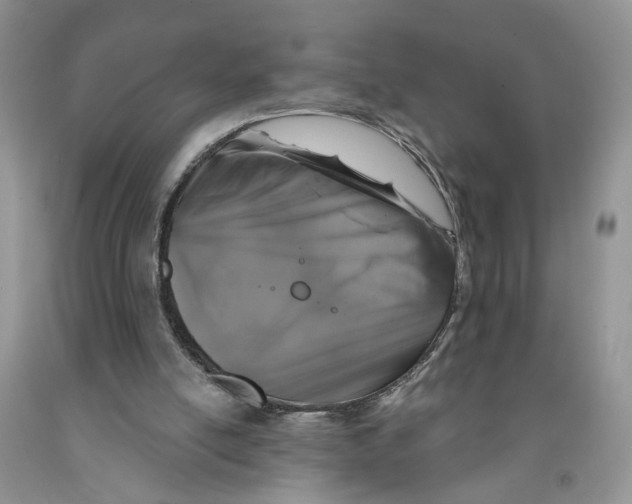 X0000091290054200709071040