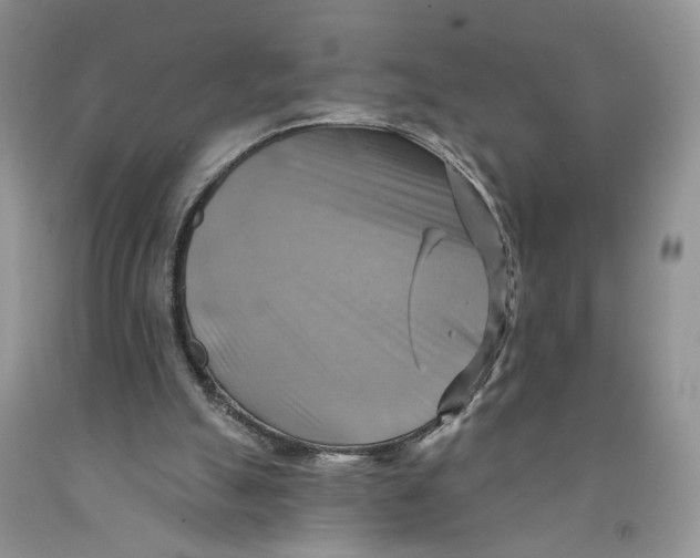 X0000091290055200709071040