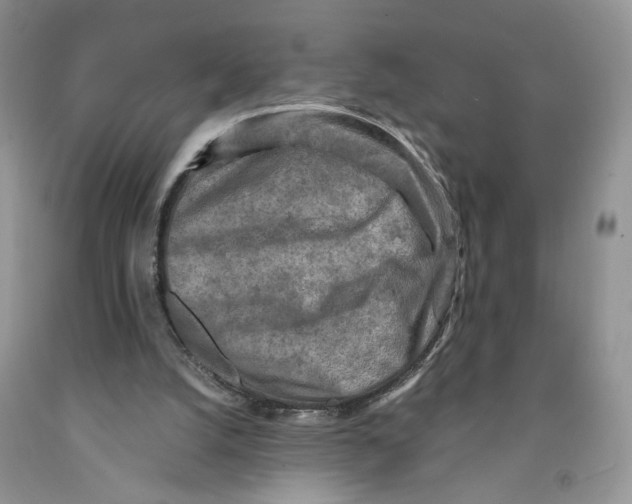 X0000091290056200709071040