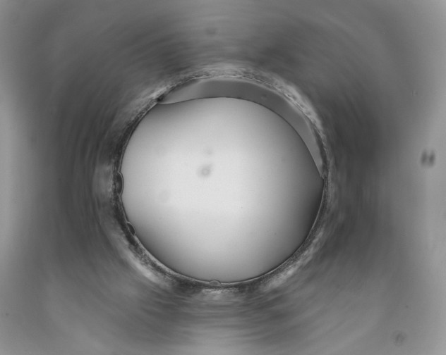 X0000091290057200709071040