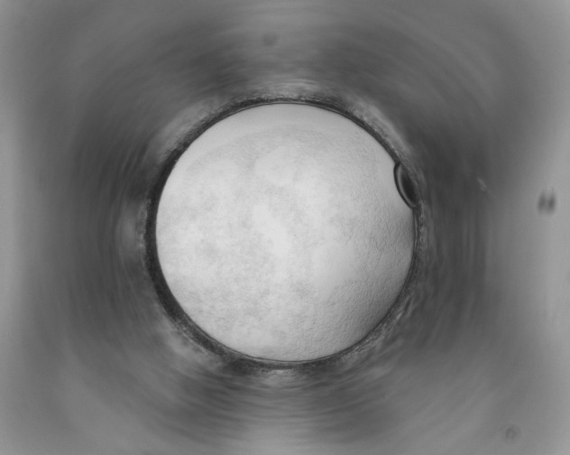 X0000091290058200709071040