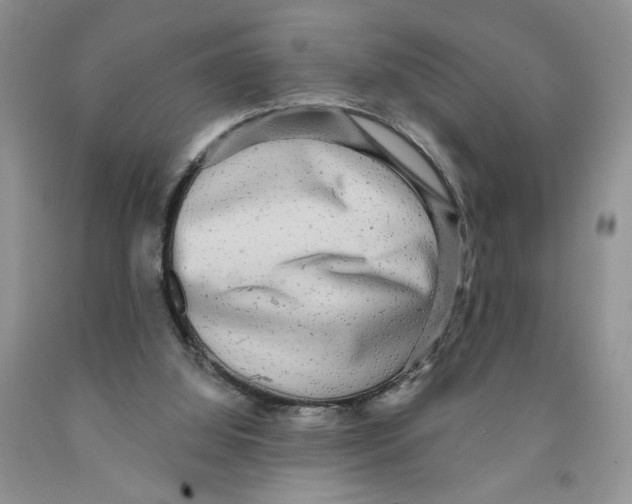 X0000091290060200709071041