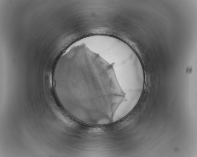 X0000091290061200709071041