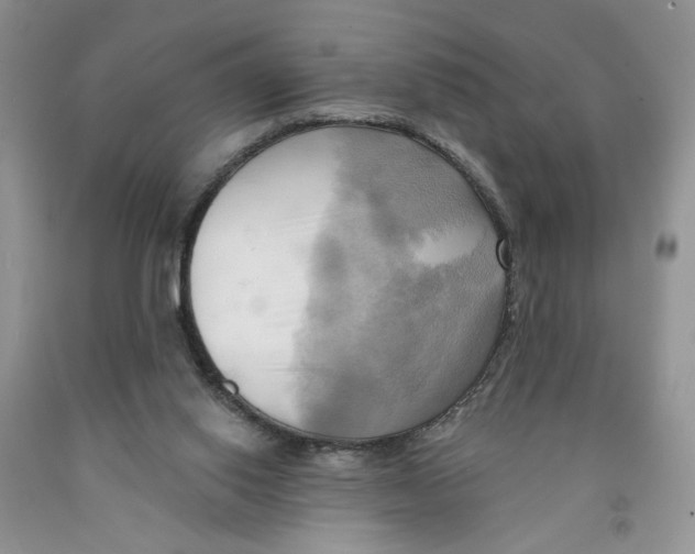 X0000091290062200709071041