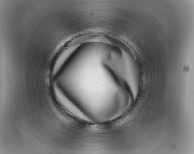 X0000091290064200709071041