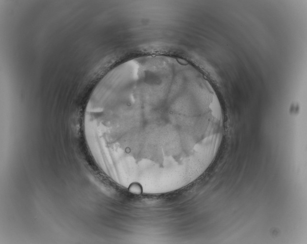 X0000091290065200709071041