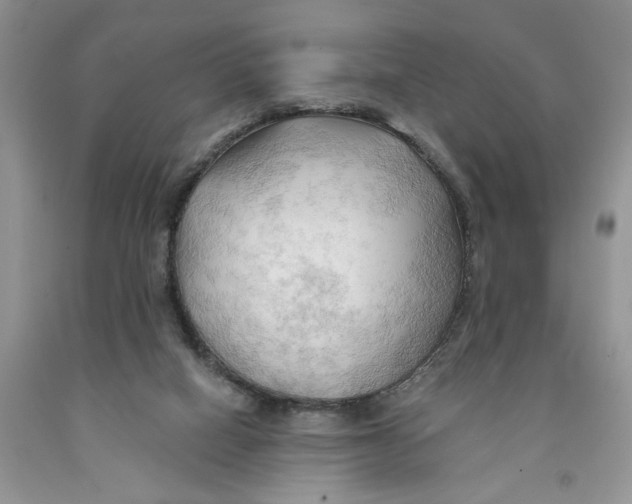 X0000091290066200709071041