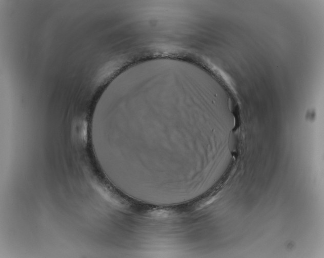 X0000091290067200709071041