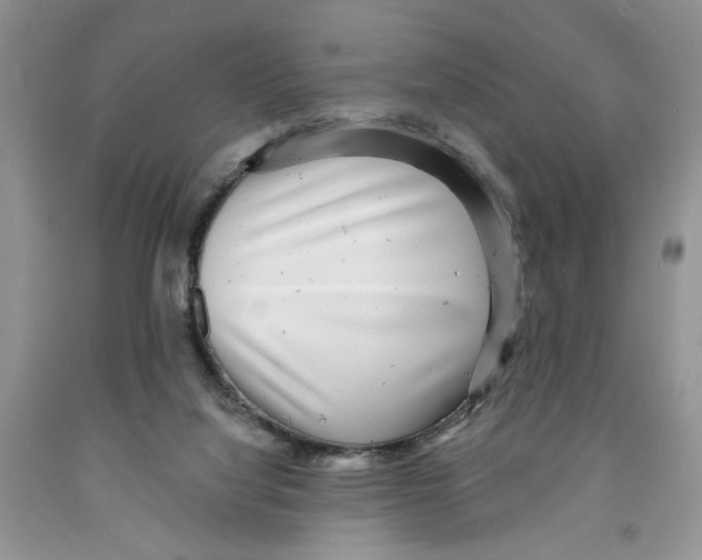 X0000091290068200709071041