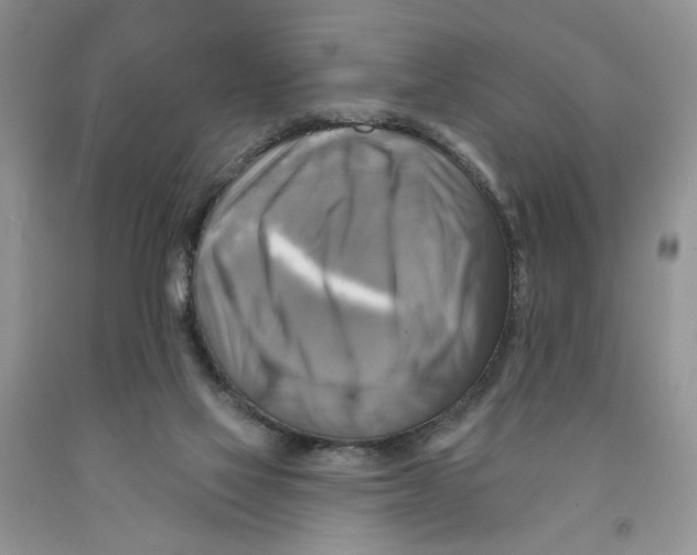 X0000091290069200709071041