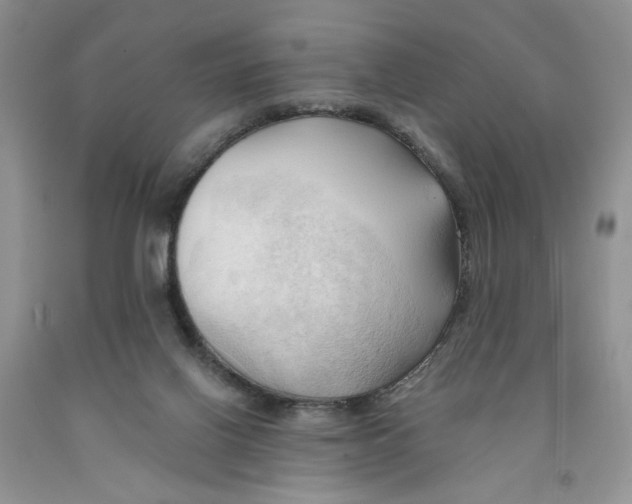 X0000091290070200709071041