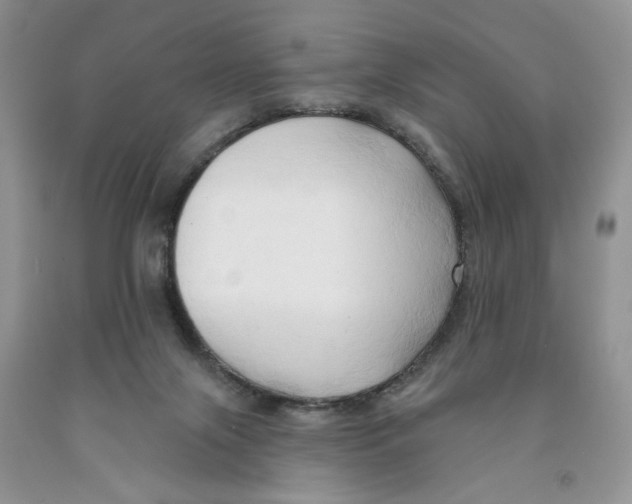 X0000091290071200709071041