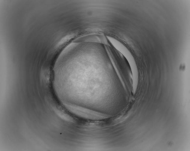 X0000091290072200709071041