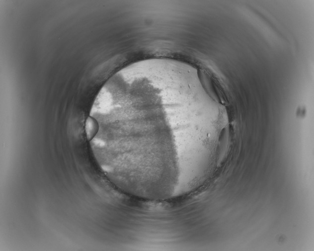 X0000091290073200709071041