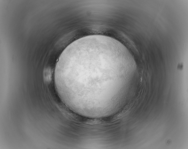 X0000091290075200709071041