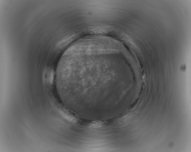 X0000091290076200709071041