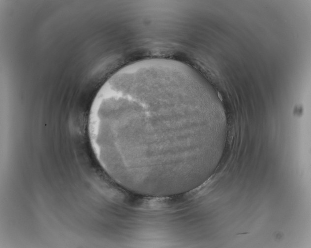 X0000091290078200709071041