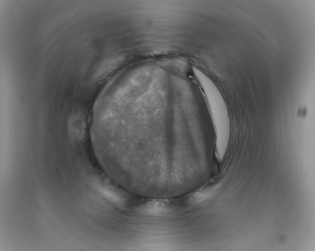 X0000091290080200709071041