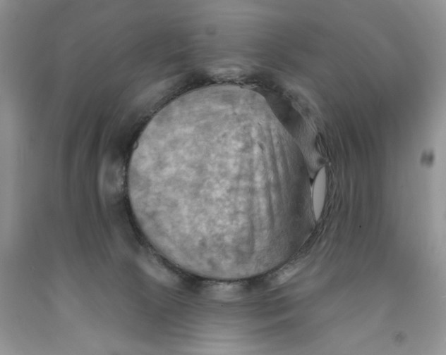 X0000091290081200709071041