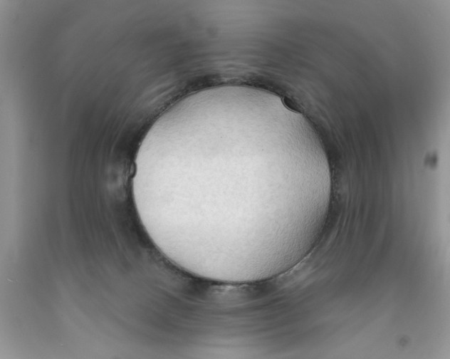 X0000091290082200709071041