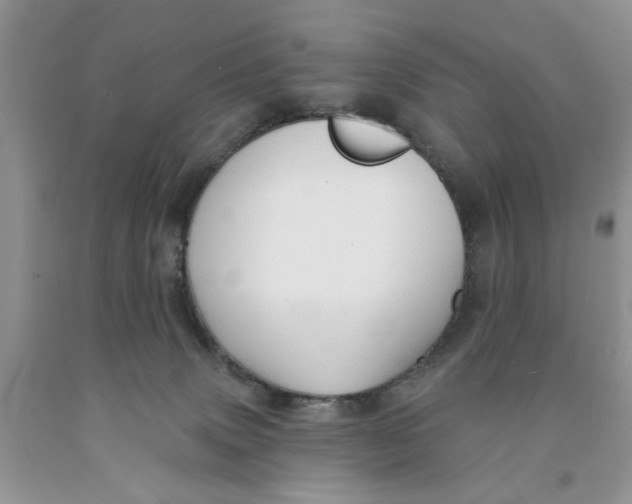 X0000091290083200709071041