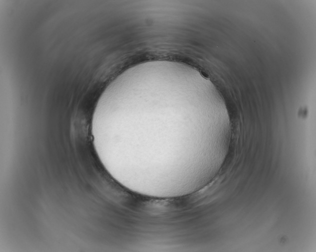 X0000091290086200709071041