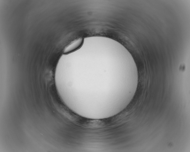 X0000091290087200709071041