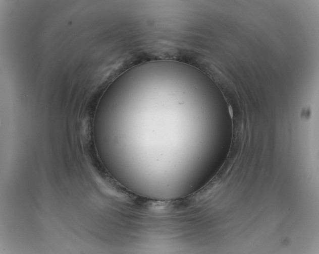 X0000091290088200709071041