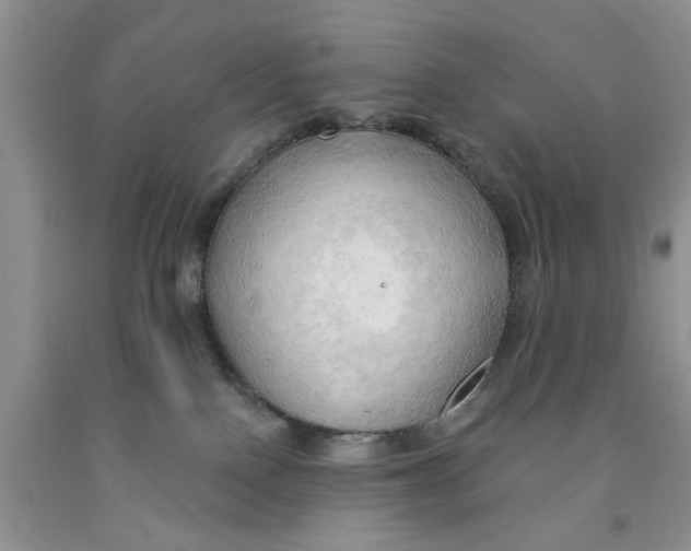 X0000091290090200709071041