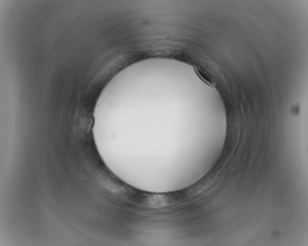 X0000091290091200709071041