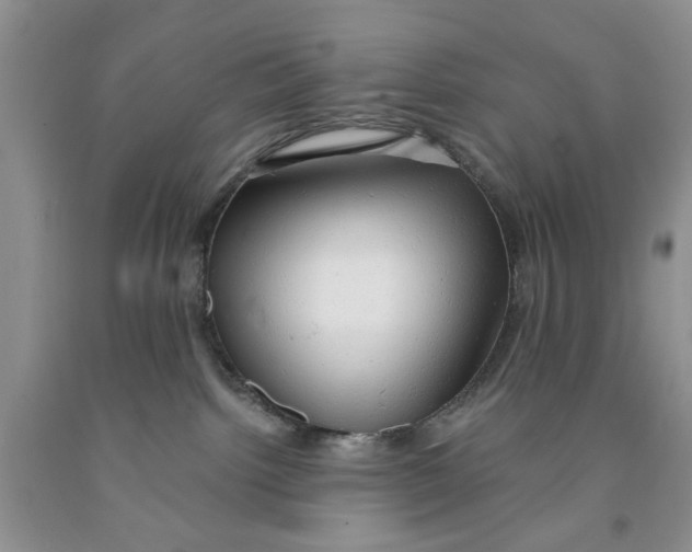 X0000091290092200709071041