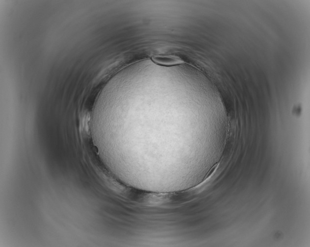 X0000091290094200709071041