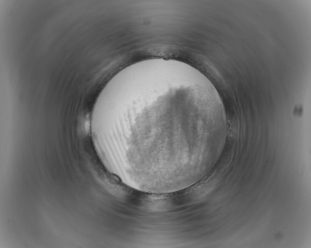 X0000091290095200709071041